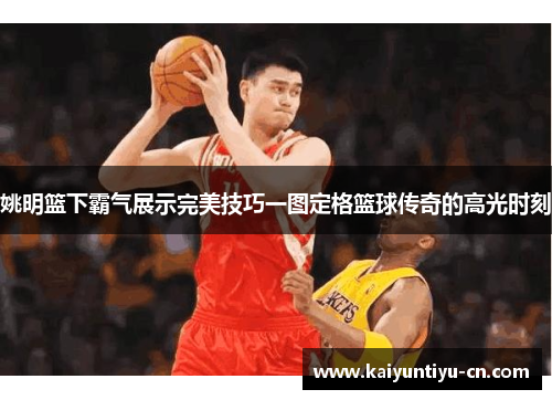 姚明篮下霸气展示完美技巧一图定格篮球传奇的高光时刻